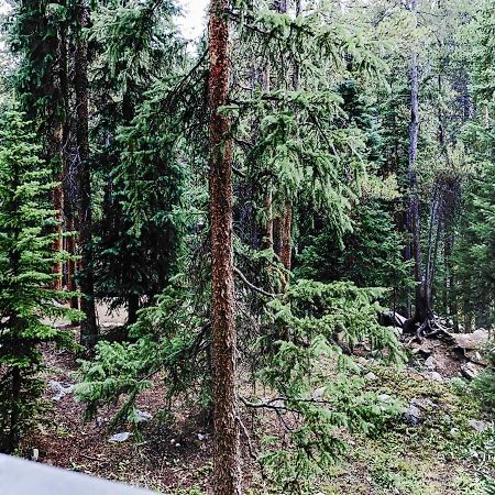 Powderhorn C202 Condo Breckenridge Ngoại thất bức ảnh