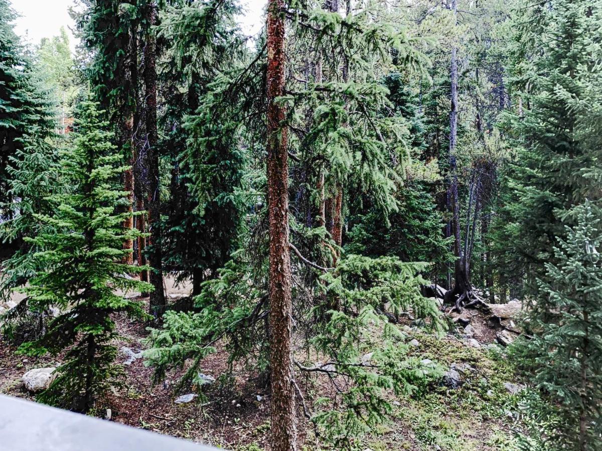 Powderhorn C202 Condo Breckenridge Ngoại thất bức ảnh